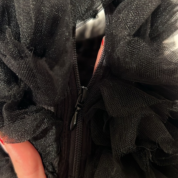 ALTAR’D STATE tulle top - Picture 6 of 6